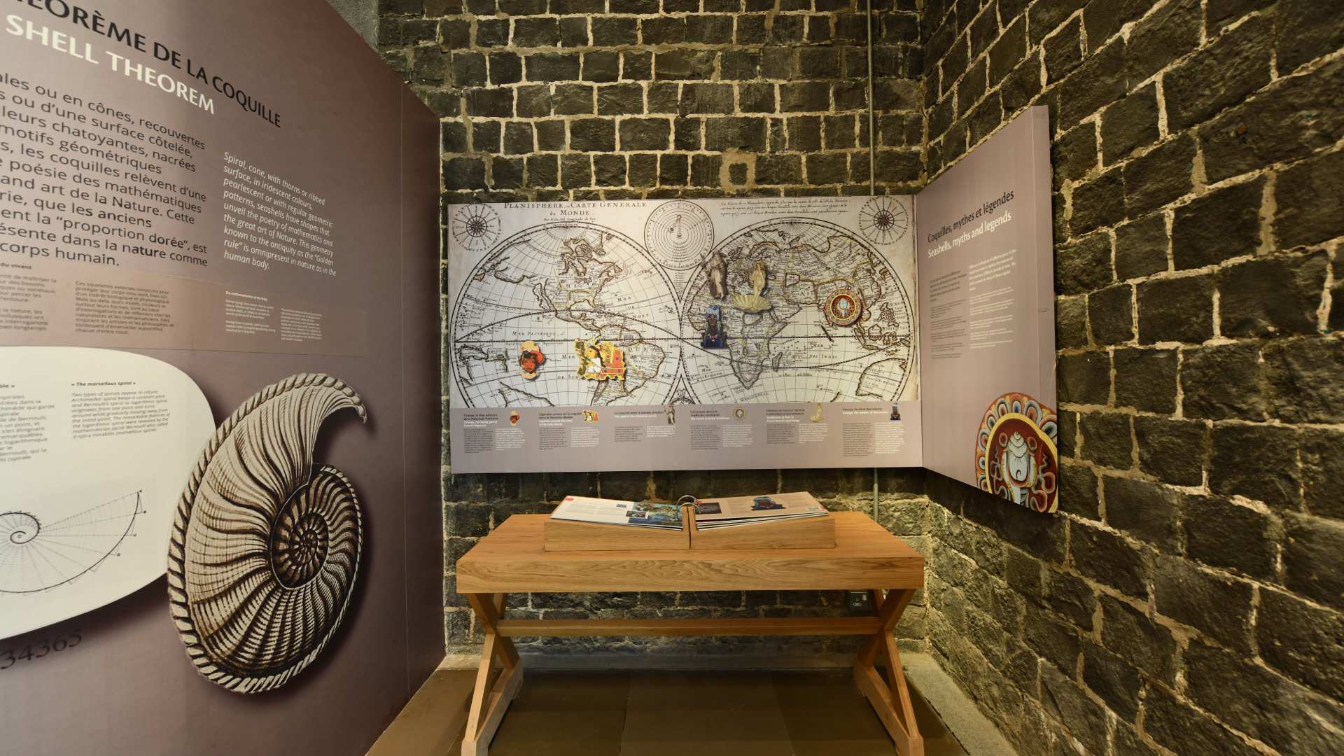 World of Seashells – The Shell Museum