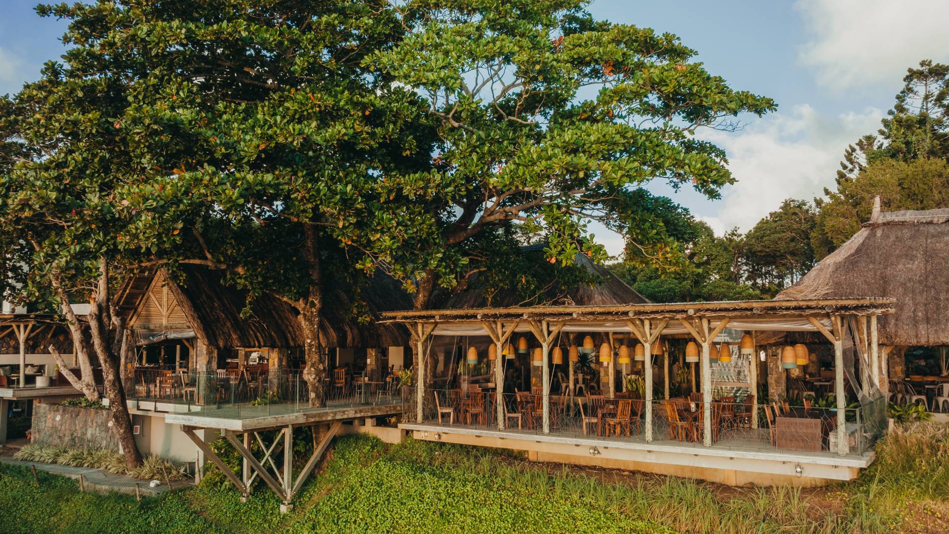 Rencontrez notre organisatrice d'événements 