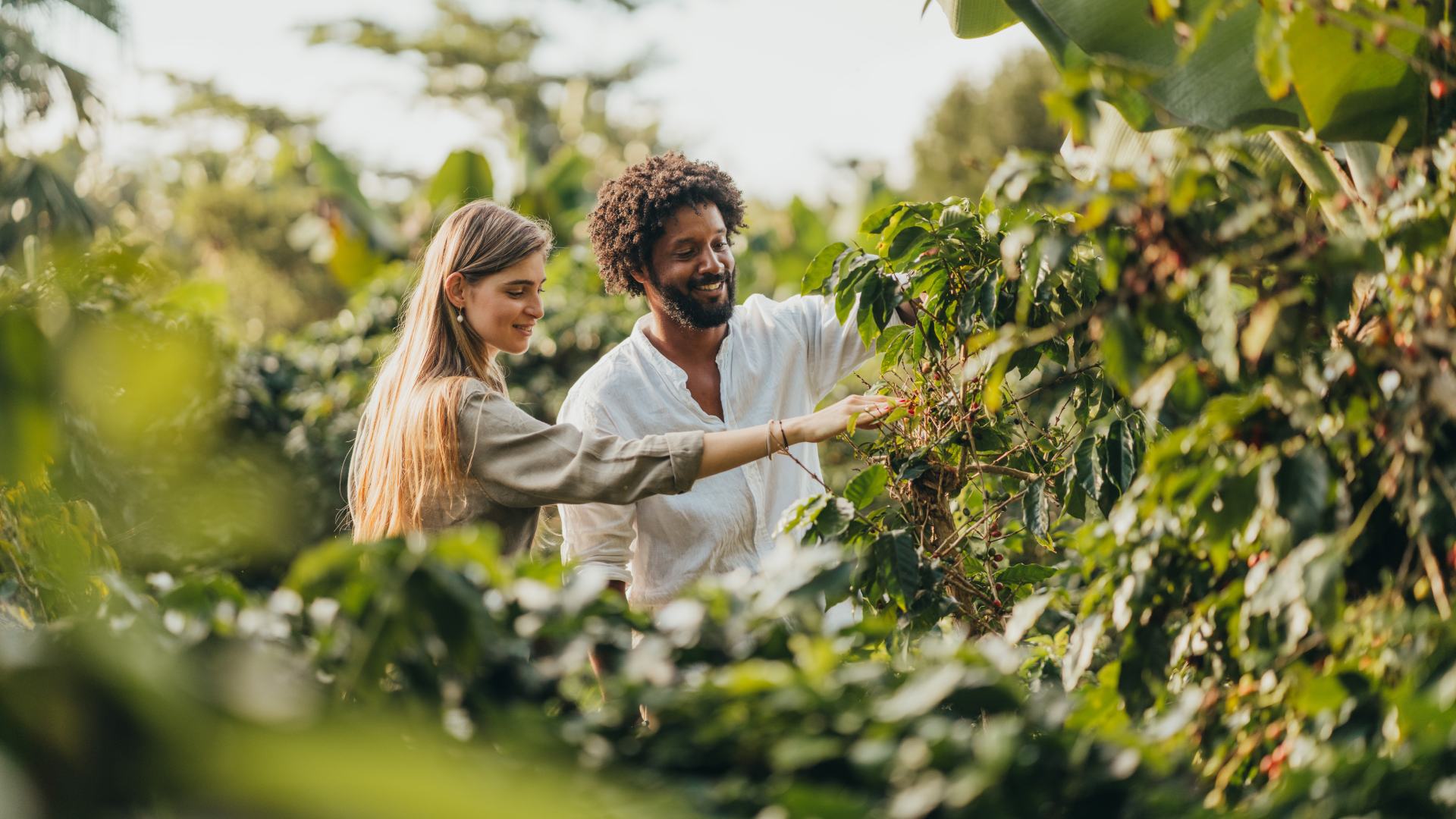 Rich biodiversity of Chamarel in Mauritius